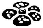 Set Symbol