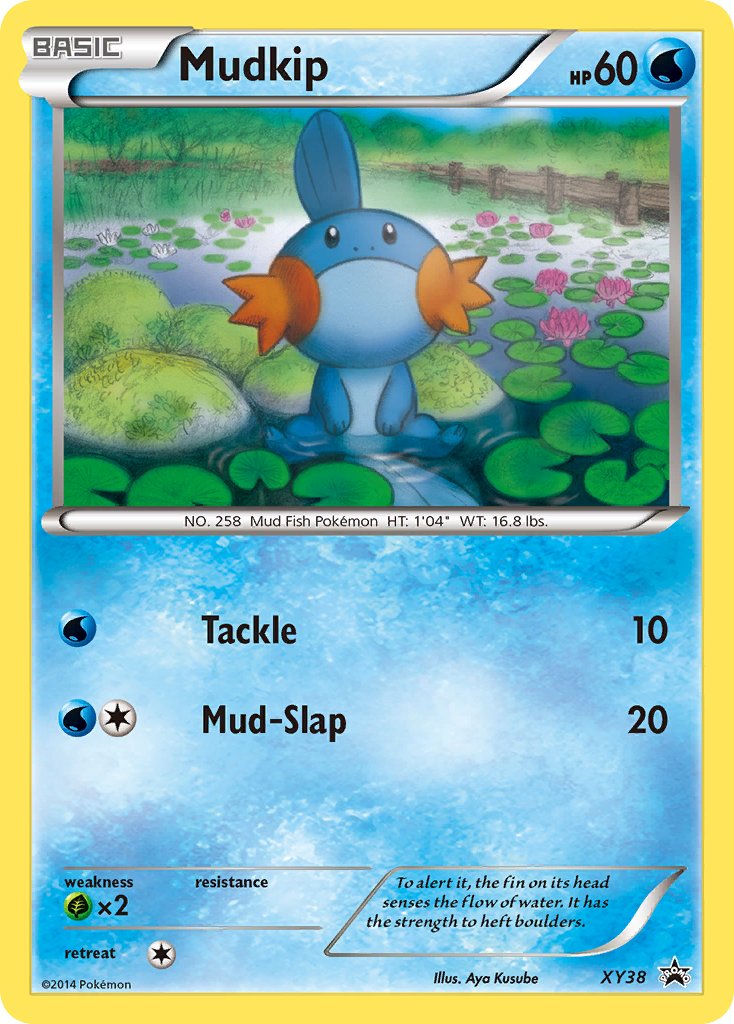 Mudkip - XY38 - XY Promos