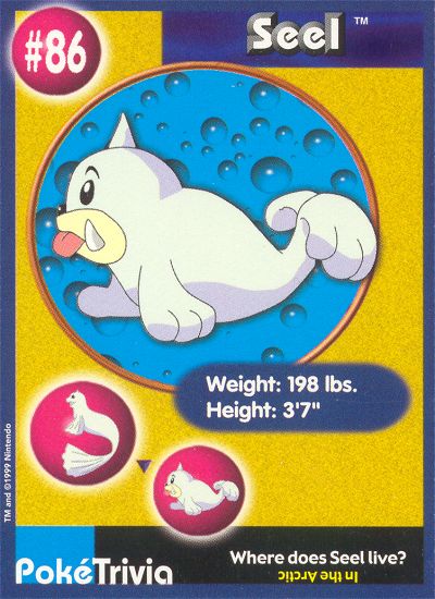 Seel