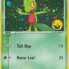 Treecko - 007 - Nintendo Black Star Promos