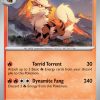 Arcanine-59-151